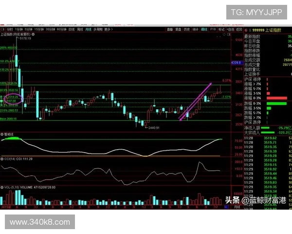 USDT大盘价格分析及未来走势预测